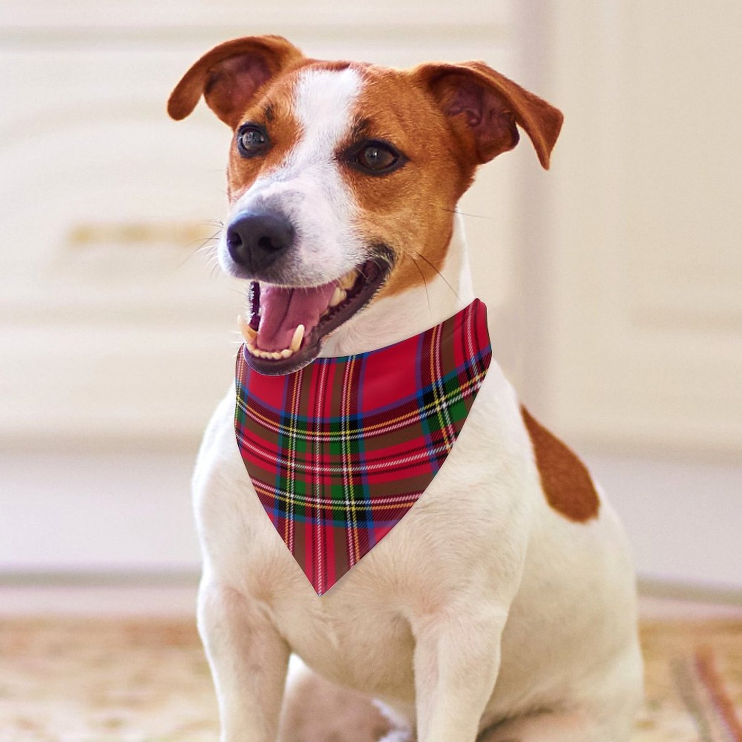 customised dog bandana